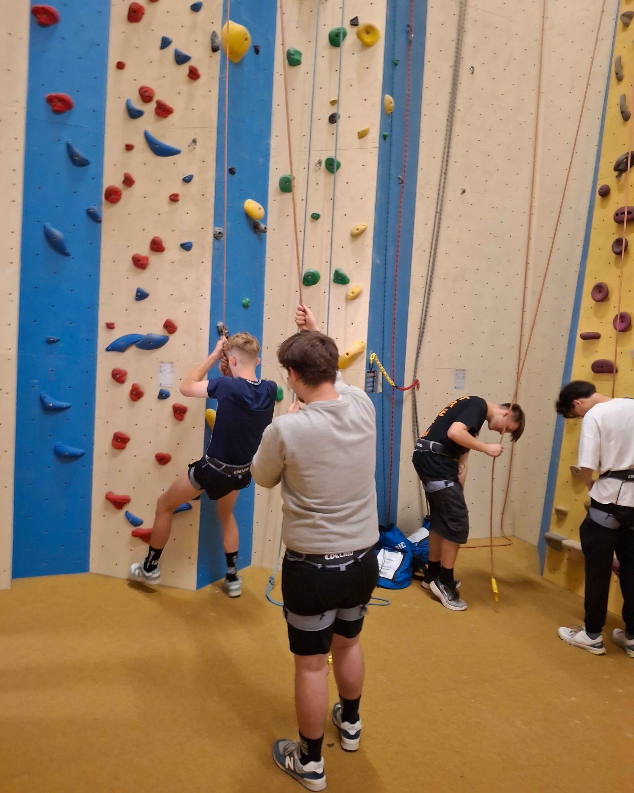 Auszubildende stehen vor einer Kletterwand. Sie sind mit einem Seil und Geschirr gesichert.